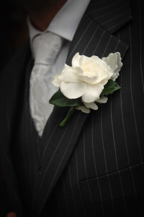 gardenia buttonhole by flos florum, malvern www.flosflorum.com.au Gardenia Bouquet, Gardenia Wedding, Burgundy Bouquet, Bridal Expo, Event Centerpiece, April Wedding, November Wedding, Prom Flowers, Flower Corsage