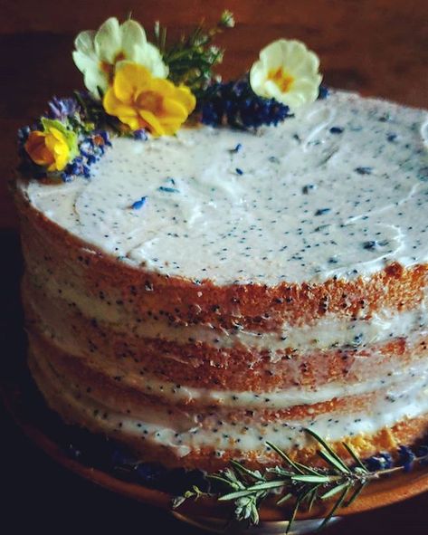 Mascarpone Cake, Rosemary Syrup, Kitchen Witch Recipes, Seed Cake, Garlic Cream Sauce, Honey Cookies, Lavender Rosemary, Learn To Cook, Concept Architecture