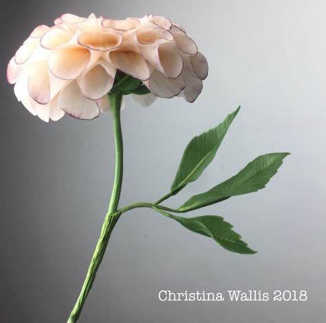 Cold Porcelain Flowers: Beginners' Guide - My Handmade Flowers Cold Porcelain Flowers, Online Tutorials, Porcelain Flowers, Porcelain Clay, Cold Porcelain, Diy Clay, Air Dry Clay, Handmade Flowers, Flower Making