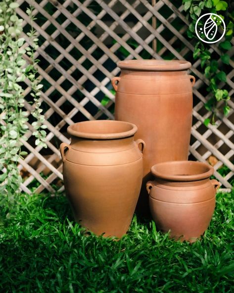 Embrace the timeless beauty of earthen pots, bringing rustic charm and elegance to your garden. 🌿🌸 Perfect for adding a natural touch to any outdoor space. DM us to order today! #EarthenPots #GardenDecor #RusticVibes #SustainableLiving #NatureInspired #HandcraftedPots #EcoFriendly #GreenLiving #OutdoorAesthetics #TerracottaDesigns #NaturalBeauty #GardenInspiration #PotteryArt #OrganicDecor #HomeGarden #LandscapingDesign #ClayPots #BackyardBliss #MinimalistDecor #GardenLovers #trendingreels... Terracotta Mushroom Pots, Terracotta Composter, Earthen Pots, Organic Decor, Garden Lovers, Minimalist Decor, Clay Pots, Green Living, Sustainable Living