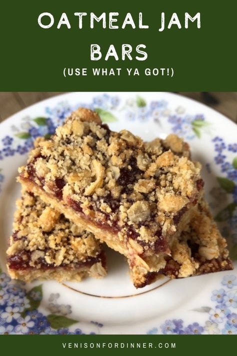 Oatmeal Jam Bars, Recipe Using Jam, Jam Bar, Venison For Dinner, Jam Bars, Egg Free Cookies, Dried Fruit Mix, Treats Recipes, Oatmeal Bars