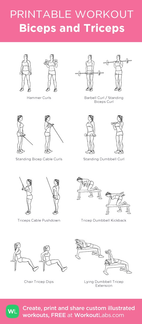 Biceps and Triceps: my visual workout created at WorkoutLabs.com • Click through to customize and download as a FREE PDF! #customworkout Bis/tris Workout, Bicep Tricep And Shoulder Workout, Bus And Tris Workout, Back Bis Tris Workout, Bis Tris Shoulder Workout, Tris And Bis Workout Dumbell, Tri And Bi Workout, Biceps Triceps Workout Women, Bicep Tricep Workout Women Gym