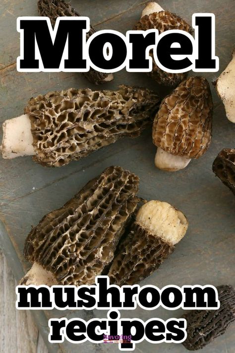 20 Best Morel Mushroom Recipes Dried Morel Mushroom Recipes, Dehydrated Mushrooms Recipes, Mushroom Side Dish Recipes, Morel Mushroom Recipes, Caramelized Onion Pizza, Creamy Sauces, Mushroom Side Dishes, Mushroom Barley Soup, Truffle Pasta