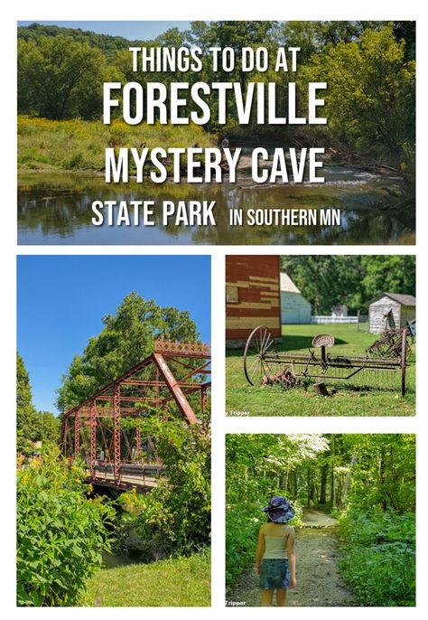 Forrestville Mystery Cave State Park in Southern MN has something for everyone. Caves, History, Hiking and so much more. You gotta check it out. #MNStateParks | Outdoors | Kids Mn State Parks, Minnesota Historical Society, Hiking Club, Horse Camp, Midwest Travel, Lake Trip, Mall Of America, Minnesota State, Fall Hiking