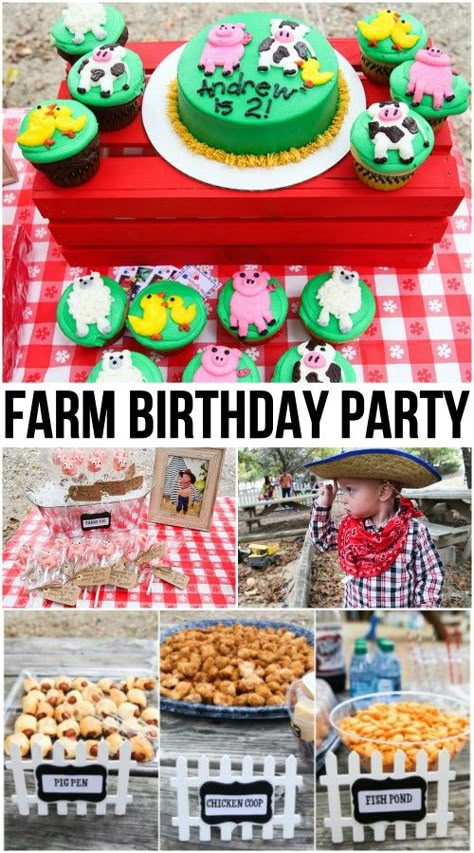 Farm Party Theme, Toddler Boy Birthday, 2nd Birthday Party For Boys, Farm Themed Party, Barnyard Birthday Party, Farm Theme Birthday, 2nd Birthday Boys, Farm Animals Birthday Party, Farm Themed Birthday Party