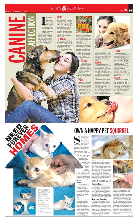 Pet Magazine Layout, Magazine Inside Page Design, Newspaper Design Layout, Pet Magazine, Animal Magazines, Newspaper Layout, Editorial Design Layout, Page Layout Design, Newspaper Design