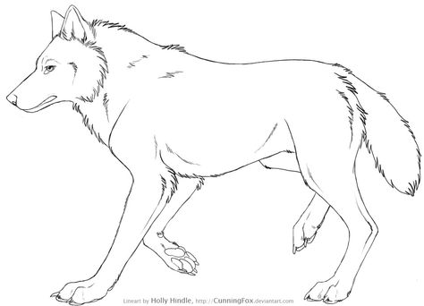 Free Wolf Lineart - Side view by Bear-hybrid on DeviantArt Wolf Base, Side View Drawing, Wolf Sketch, Animal Templates, Wolf Photos, Canine Art, Wolf Drawing, Wolf Pictures, A Wolf