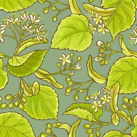 Linden Vector Pattern - Vector EPS Linden Leaf, Floral Upholstery Fabric, Tropical Illustration, Sophisticated Art, Retro Ornaments, Wine Label Design, Floral Upholstery, Leaf Drawing, Watercolor Images