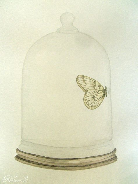 Klara S. Piano Tattoo, Tattoo Butterfly, Jar Art, Butterfly Drawing, Music Tattoos, The Bell Jar, Tree Tattoo, Trendy Tattoos, A Butterfly