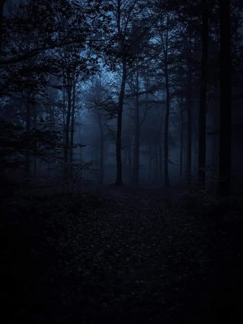 Gacha Backgrounds Outside Night, Mal Aesthetic, Fairy Emoji, Backgrounds Outside, Gacha Backgrounds Outside, Dark Forests, Ormanlık Alan, Gacha Backgrounds, Dark Forest Aesthetic