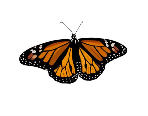 Inspo Art, Monarch Butterfly, Graphic Illustration, Graphic Prints, Doodles, Art, Graphic Illustrations