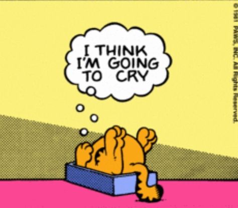 #garfield Garfield Reaction Pictures, Funny Garfield, Garfield Wallpaper, Fat Orange Cat, Garfield Pictures, Garfield Images, Funny Orange, Garfield Cat, I Hate Mondays