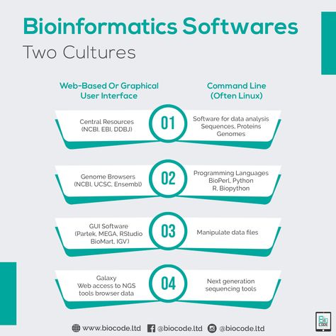 Bioinformatics Aesthetics, Lab Aesthetic, Computational Biology, Basic Computer Programming, Coding Lessons, Data Science Learning, Basic Computer, College Job, Science Learning