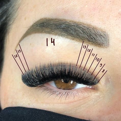 Top lashes and lashmakers on Instagram: "Doll lash map   Volume: 6D Curl: D  Diameter: 0.07  Credit: @ciglia_di_alina   #lashcoach #lashmaker #extensionciglia#corsiextensionciglia  #vitadalashmaker #corsiextensionciglianapoli #lashstudio #lashtips #sopracciglia #napoli #estetistanapoli #cigliadialina #lashmakernapoli #lashcup #ciglialunghe #lashmakeritaly #corsiextensioncigliamilano #corsiextensioncigliaroma #corsiextensioncigliaonline #lashmakerpro #trattamentiesteticinapoli#extensioncigliaonetoone" Volume Lash Mapping D Curl, D Curl Lash Map, Lash Mapping Eyelash Extensions Mega Volume, Spiky Lash Extensions Map, Extension Ciglia One To One, 9-16 Mm Lash Map, Volume Lashes, Beauty Bar, Lash Extensions