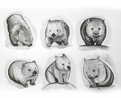 Wombat Tattoo Ideas, Cute Wombat Drawing, Wombat Embroidery, Wombat Sketch, Wombat Painting, Quokka Tattoo, Wombat Cartoon, Wombat Illustration, Wombat Tattoo