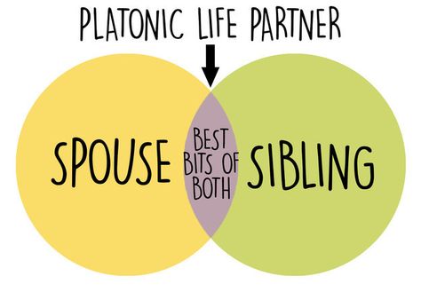 Basically your “platonic life partner” is the combination of the best bits of a spouse and a sibling merged into one convenient BFFL. | 22 Things You Know If You Have A Non-Romantic Soulmate Platonic Life Partner, Romantic Soulmate, Platonic Marriage, Queerplatonic Relationship, How To Find Soulmate, Non Romantic, Soul Mate Love, The Fallen Angel, Platonic Love