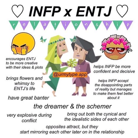 Entj X Infp, Mbti Couples, Infp Ships, Entj Relationships, Mbti Ships, Infp Relationships, Entj Personality, Infp Personality Type, Infp Personality