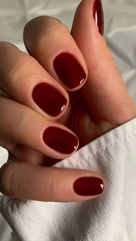 Get inspired by 40 trendy cherry wine nails that will be your go-to this season. From stunning Wine Nails and Cherry Nails to bold Red Acrylic Nails, find the perfect look with Cherry Wine Nails. Whether you love casual nails or want to go all out with Dark Red Nails, these designs will elevate your style. Discover shades like Red Nail Varnish and Short Nail Burgundy, with Oval Nails Maroon and Dark Red Oval Nails. Perfect for fans of short burgundy nails and Manikur Kuku. Kutek Disney, Wine Nails, Squoval Nails, Short Gel Nails, Nagel Tips, Casual Nails, Makijaż Smokey Eye, Red Nail Polish, Burgundy Nails