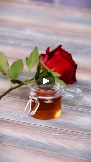 11M views · 641K reactions | How to grow rose plant 🌵😍 Very Easy Tricks 😄🥰😄💡👍🤓👍😎👍👍👍👌👌👌❤️❤️
.
.
.
.
.
.
.
#reels #rose #plant #shorts #viralreels #trendingreels #viral #trending #amazing #ideas | Craft47tips🥰👍 | Vishal Mishra, Kaushal Kishore · Zindagi Tere Naam (From "Yodha") Uređenje Dvorišta, Uredenje Dvorista, Vishal Mishra, Rose Plant Care, Rose Plant, Easy Tricks, Rose Care, Growing Roses, Starter Plants