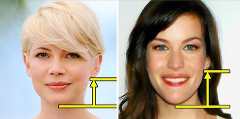 This Simple Trick Will Help You Find Out If You’d Look Good With Short Hair Unique Faces, Liv Tyler, Michelle Williams, Hairstyle Gallery, Long Locks, Brown Blonde Hair, Long Faces, Long Hair Girl, Famous Women