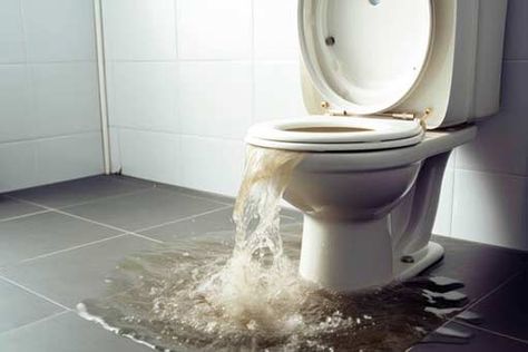 How to Prevent Your Toilet From Overflowing French Drain Installation, Toilet Drain, Water Heater Installation, Clogged Toilet, Drain Cleaners, Drain Pipes, Toilet Installation, Plumbing Emergency, Faucet Repair