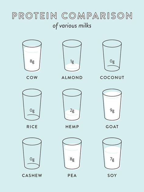 Ask a Dietitian: Milk and milk alternatives Milk Protein Allergy Diet, Milk Facts, Watermelon Nutrition Facts, Milk Nutrition, Nutrition Logo, Nutrition Activities, Nutrition Chart, Nerve Health, Nutrition Sportive