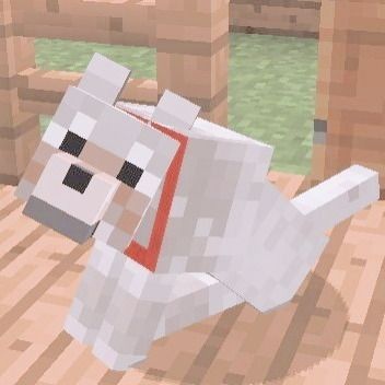 Cute dog Square Pic, Minecraft Dogs, Minecraft Theme, Minecraft Pictures, Minecraft Mobs, Minecraft Wallpaper, Soft Pink Theme, Characters Inspiration Drawing, Iphone Wallpaper App