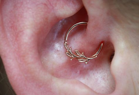 Daith w/ Amity in 14k rose gold by @bvla #appmember #safepiercing #bvla #bodyvision #daith #daithpiercing #slo #saluisobispo #piercing #rosegoldjewelry #bestofslo #slocounty #slopiercing #slopiercer #piercing Daith Earrings Silver, Daith Piercing Ideas, Bridgerton Oc, Septum Gold, Daith Piercings, Daith Piercing Jewelry, Piercing Inspo, Daith Earrings, Septum Jewelry