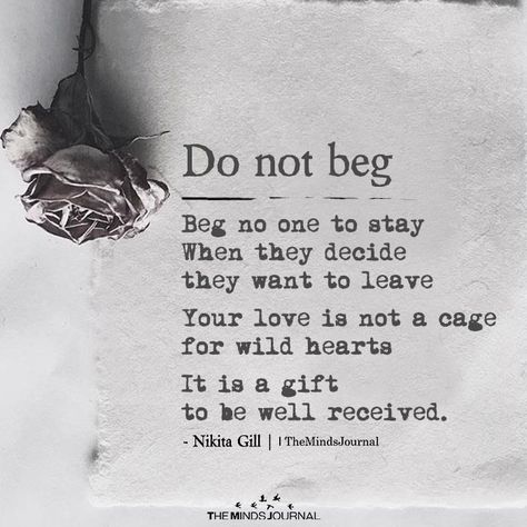 Bad Boyfriend, Don't Beg, Love Is Not, Boyfriend Quotes, Wild Hearts, True Words, Beautiful Quotes, Strong Women, Wisdom Quotes