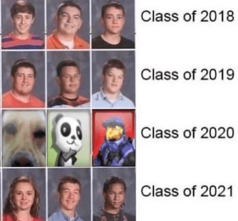 Funny Yearbook Pictures, Yearbook Memes, Back To School Meme, Funny Yearbook Quotes, Funny Yearbook, Yearbook Pictures, Vocational School, Yearbook Ideas, Yearbook Quotes