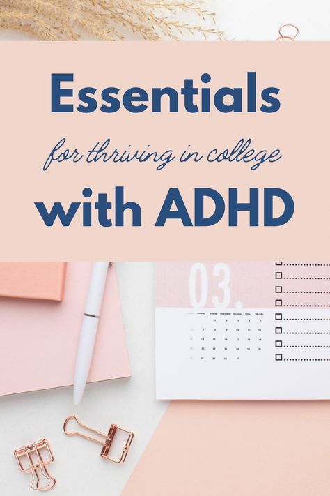 Best college planners for students with ADHD. Best college student planners, best college class planners, best planners for college, best academic planners college, good planners for college, college due dates planners, college tips study planners, study tips college organization planners, ADHD tips, ADHD in college, College students with ADHD, college organization tips, College with ADHD. College Due Date Organization, Staying Organized In College, Online College Schedule, Going Back To College As An Adult, College Class Organization, Uni Study Aesthetic, Study Organization Ideas, College Binder Organization, College Study Aesthetic