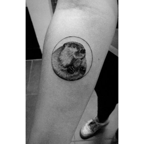 #beaver #beavertattoo #smalltattoo #nature #naturetattoo #canada #animals #animaltattoo Beaver Tattoo, Canada Animals, Skull Tattoo, Tattoo Ideas, Tattoos, Animals, Nature