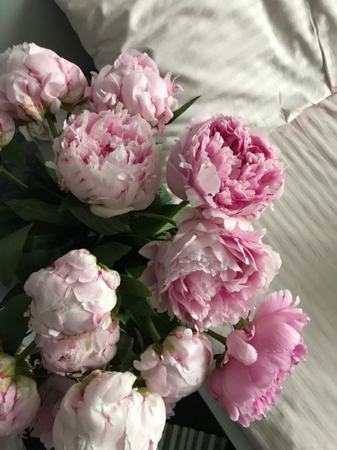 Peonies Aesthetic, Spring Moodboard, Peony Aesthetic, Lifestyle Images, Spring Love, House Smell Good, Soft Girl Aesthetic, Flower Therapy, House Smell