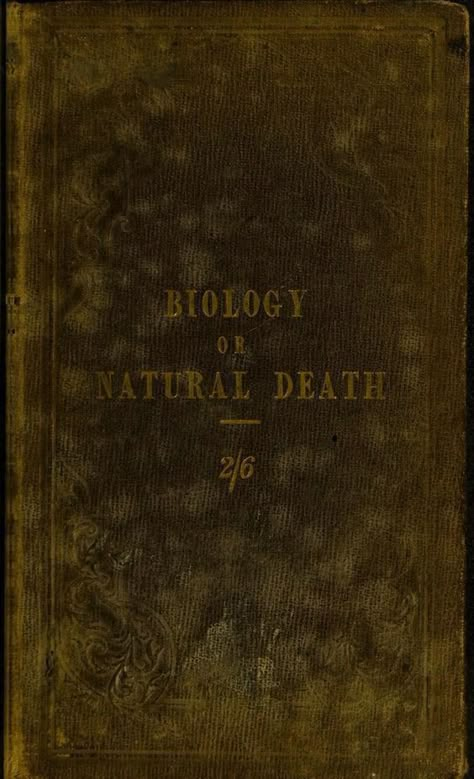 Victorian Surgeon, Victorian Horror, Victorian Doctor, The Voidz, The Modern Prometheus, Blood Hunter, Victor Frankenstein, Peregrine's Home For Peculiars, Miss Peregrines Home For Peculiar