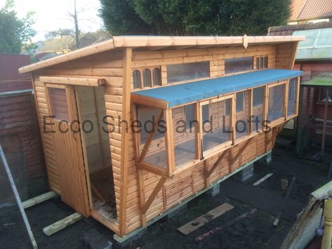 Aviary / Traps – Ecco Sheds and Pigeon Lofts Valentina Rupaul Drag Race, Types Of Pigeons, Racing Pigeon Lofts, Pigeon Loft Design, Vespa Racing, Racing Wallpaper, Pigeon Cage, Race Car Bed, Pigeon House