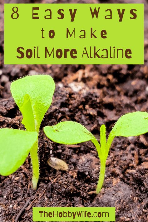 Alkaline garden soil. Alkaline Soil, Plant Tips, Garden Plan, Soil Ph, Clay Soil, Backyard Inspo, Woodland Garden, Soil Improvement, Bedding Plants