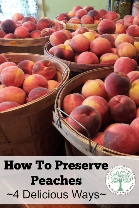 Preserve Peaches, Grid Ideas, Freezing Fruit, Canning Fruit, Canning Tips, Fruit Preserves, Home Canning, Peach Recipe, Dehydrated Food