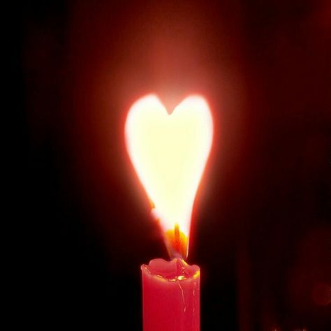 Heart In Nature, Heart Candle, Guard Your Heart, I Love Heart, Heart Images, My Funny Valentine, Heart Strings, Light My Fire, Beating Heart