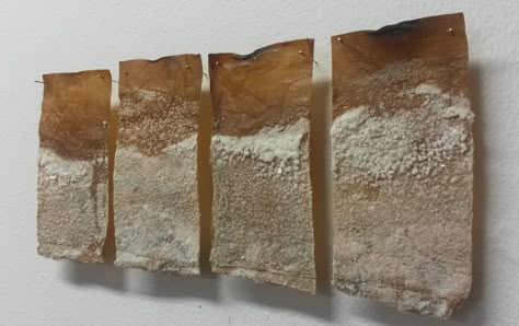 Printmaking Installation, Biomorphic Forms, Sandstone Texture, Salt Art, Contemporary Printmaking, Surface And Texture, Material Exploration, Minerals Art, Recycle Design