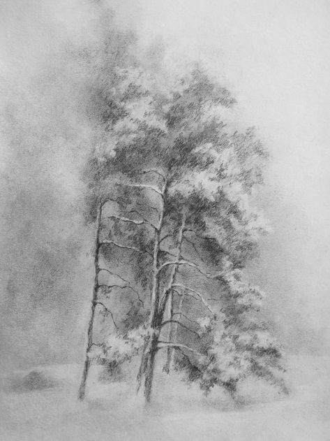 Tree in the fog Charcoal Drawings, Snowy Trees, Charcoal Art, Graphite Drawings, Beautiful Dark Art, Drawing Inspo, Landscape Drawings, Tree Drawing, The Fog