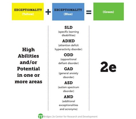 What is 2e? A Guide to Twice-Exceptionality | 2eCenter.org Parenting Workshop, Twice Exceptional, Dyslexic Students, Oppositional Defiant Disorder, Teaching Methodology, Talent Development, Learning Differences, Learning Techniques, School Administration