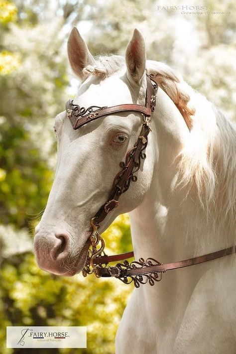 Beautiful Horse Tack, Fantasy Horse Tack, Fantasy Saddle, Elegant Horse, Horse Inspiration, Horse Costumes, Fantasy Horses, Horse Equipment, Horse Bridle