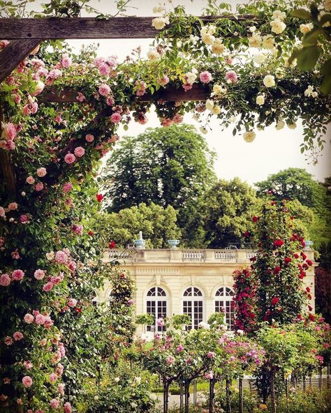 Fleur Aesthetic, My French Country Home, European Garden, Famous Gardens, European Antiques, Visit Paris, Paris City, Arched Windows, Classical Architecture