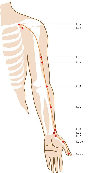 Meridian Acupuncture, Meridian Points, Energy Medicine, Acupuncture Points, Acupressure Points, Traditional Chinese Medicine, Reflexology, Chinese Medicine, Acupressure