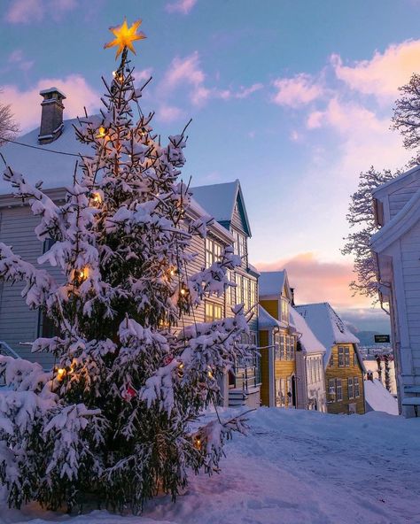 Winters in Bergen feels like a winter wonderland with @mountainsofnorway ❄️🏠💙🌨️ 💡 The city is known as one of Norway's rainiest places.… | Instagram Norway Christmas, Norway Winter, Winter Elopement, Bergen Norway, Beautiful Christmas Trees, World Cities, Food Tips, Winter Solstice, Christmas Tree Lighting