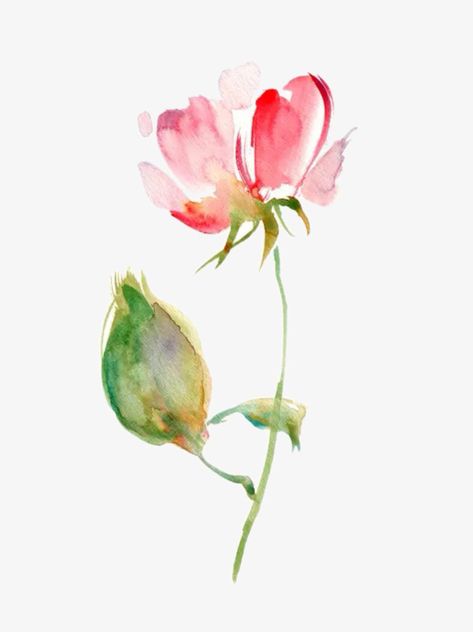 Loose Watercolor Paintings, Flower Png Images, Watercolor Flowers Tutorial, Loose Watercolor, Watercolor Sketchbook, Watercolor Flower Art, Flower Art Images, Watercolor Flowers Paintings, Watercolor Art Lessons