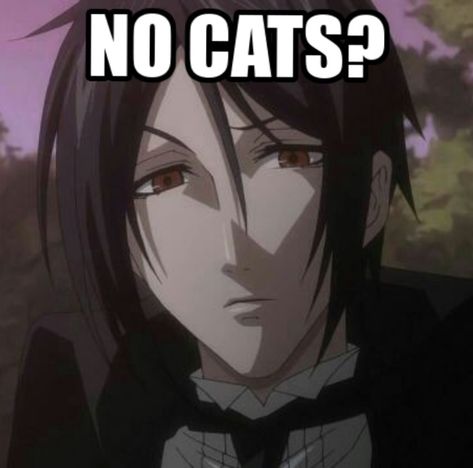 Sebastian Michaelis Memes Funny, Black Butler Ciel X Sebastian, Sebastian Michaelis Pfp, Sebastian Michaelis Aesthetic, Sebastian Michaelis Wallpapers, Sebastian Michaelis Fanart, Grell X Sebastian, Black Butler Pfp, Black Butler Icons