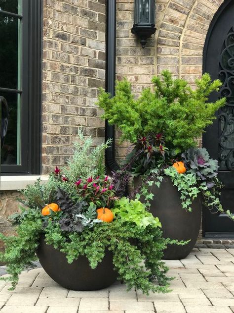 Winter Porch Pots, Fall Flower Pots, Fall Container Plants, Outdoor Planter Ideas, Fall Pots, Porch Pots, Winter Planters, Fall Container Gardens, Winter Planter