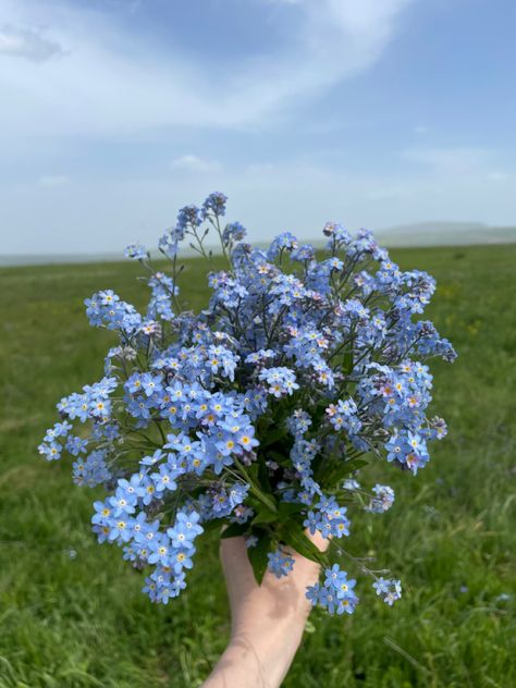 Weather Aesthetic, Flower Boquet, Flower Board, Boquette Flowers, Nothing But Flowers, Wallpaper Animes, Flower Therapy, Beautiful Bouquet Of Flowers, Spring Aesthetic