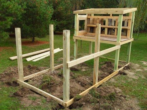 The Maxwell House's Member Page | BackYard Chickens - Learn How to Raise Chickens Pet Bunny Room, Moveable Chicken Run, Pvc Chicken Run, Chicken Run Ideas, Chicken Coop Blueprints, Easy Chicken Coop, Portable Chicken Coop, Bunny Room, Backyard Chicken Coop Plans